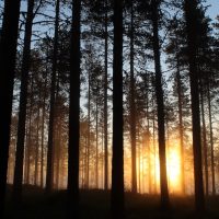 anne-nygard-zBcRSzFFCD8-unsplash